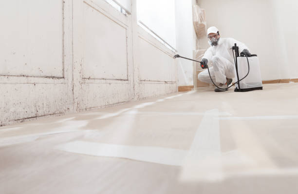 24/7 Emergency Mold Testing experts in Bailey, NC