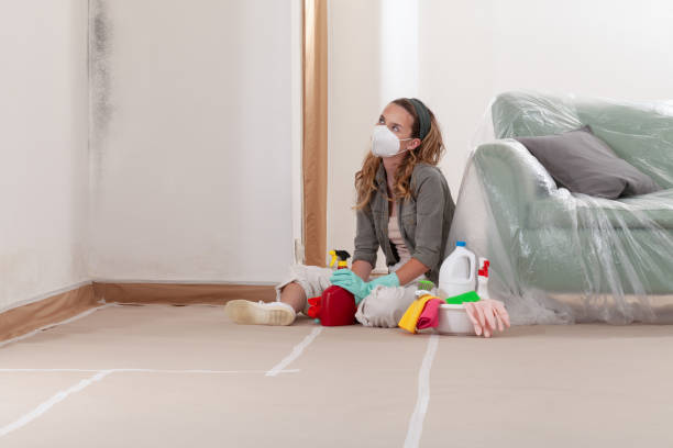 Reliable Mold Testing contractor in Bailey, NC by WQB Mold Removal